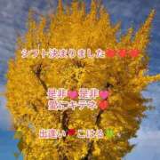 ヒメ日記 2025/11/12 01:17 投稿 こはる 出逢い