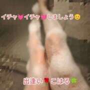 ヒメ日記 2025/11/26 13:37 投稿 こはる 出逢い