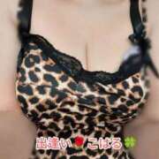 ヒメ日記 2025/12/01 23:27 投稿 こはる 出逢い