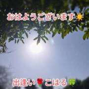ヒメ日記 2025/12/07 05:27 投稿 こはる 出逢い