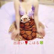 ヒメ日記 2025/12/10 19:57 投稿 こはる 出逢い