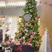 ヒメ日記 2025/12/24 13:17 投稿 こはる 出逢い