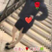 ヒメ日記 2026/01/07 13:27 投稿 こはる 出逢い