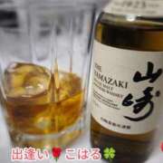 ヒメ日記 2026/01/26 22:17 投稿 こはる 出逢い