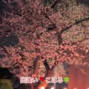 ヒメ日記 2026/03/31 23:37 投稿 こはる 出逢い