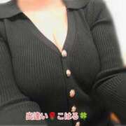 こはる 今日もいますよ😊 出逢い