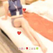 こはる 元気に出勤しました🙋‍♀️ 出逢い