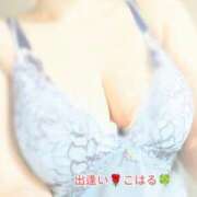 ヒメ日記 2026/06/10 13:17 投稿 こはる 出逢い