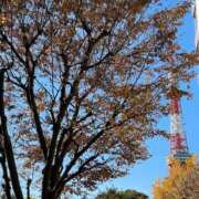 ヒメ日記 2024/12/12 14:00 投稿 あそう 池袋人妻城