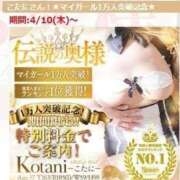 ヒメ日記 2025/04/14 12:19 投稿 こたに 池袋人妻城