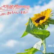 ヒメ日記 2025/08/05 13:33 投稿 みさき 池袋人妻城