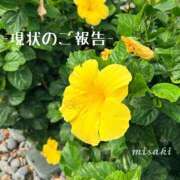 ヒメ日記 2026/08/24 04:25 投稿 みさき 池袋人妻城