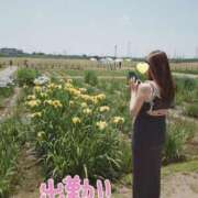 ヒメ日記 2025/06/17 08:18 投稿 さゆり 池袋人妻城