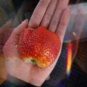 ヒメ日記 2024/12/16 08:03 投稿 みやかわ 池袋人妻城