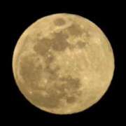 ヒメ日記 2025/02/15 08:03 投稿 みやかわ 池袋人妻城