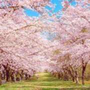 ヒメ日記 2025/03/09 22:18 投稿 みやかわ 池袋人妻城