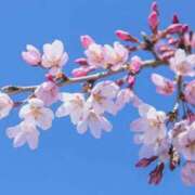 ヒメ日記 2025/03/24 18:19 投稿 みやかわ 池袋人妻城