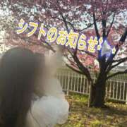 ヒメ日記 2025/04/02 12:34 投稿 みく 池袋人妻城