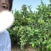 ヒメ日記 2025/10/12 22:03 投稿 みく 池袋人妻城