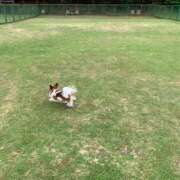 絢音（あやね） Sちゃん🐕🤍 フュージョンスパ