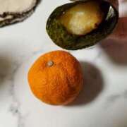 ヒメ日記 2026/01/12 13:03 投稿 めぐみ 池袋人妻城