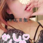 ヒメ日記 2026/02/12 17:03 投稿 めぐみ 池袋人妻城