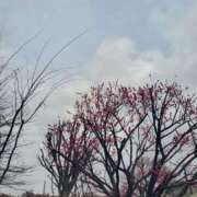 めぐみ 本日おやすみです🙏 池袋人妻城