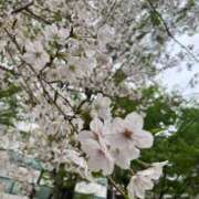 ヒメ日記 2025/03/03 09:59 投稿 みき ANGEL KISS 池袋