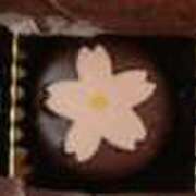 ヒメ日記 2025/03/09 17:02 投稿 みき ANGEL KISS 池袋