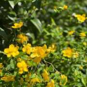 ヒメ日記 2025/04/20 14:09 投稿 みき ANGEL KISS 池袋