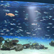 ヒメ日記 2025/05/28 17:23 投稿 みき ANGEL KISS 池袋