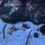 ヒメ日記 2025/05/30 05:10 投稿 みき ANGEL KISS 池袋