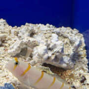 ヒメ日記 2025/06/07 04:00 投稿 みき ANGEL KISS 池袋