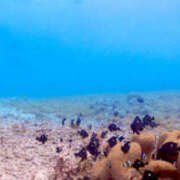 ヒメ日記 2025/09/28 16:00 投稿 みき ANGEL KISS 池袋