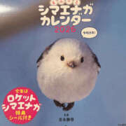 ヒメ日記 2026/01/15 12:19 投稿 みき ANGEL KISS 池袋