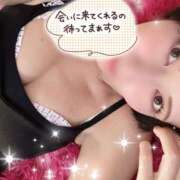 ヒメ日記 2025/03/03 09:19 投稿 りお 池袋人妻城