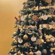 ヒメ日記 2024/12/24 09:12 投稿 あいこ NEW GENERATION