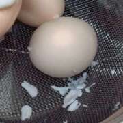 ヒメ日記 2025/01/17 10:03 投稿 あいこ NEW GENERATION