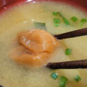 ヒメ日記 2025/01/20 09:12 投稿 あいこ NEW GENERATION