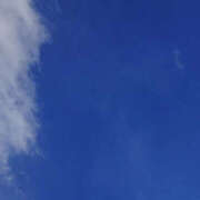 ヒメ日記 2025/01/26 09:42 投稿 あいこ NEW GENERATION