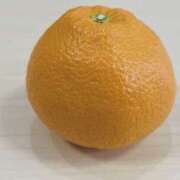 ヒメ日記 2025/02/22 10:03 投稿 あいこ NEW GENERATION