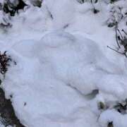 ヒメ日記 2026/02/13 09:48 投稿 あいこ NEW GENERATION