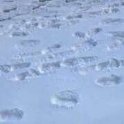 ヒメ日記 2026/02/14 09:06 投稿 あいこ NEW GENERATION