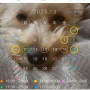 ヒメ日記 2025/02/27 22:21 投稿 そら Blue Lagoon(ブルーラグーン)