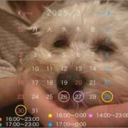 ヒメ日記 2025/03/13 19:04 投稿 そら Blue Lagoon(ブルーラグーン)