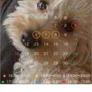 ヒメ日記 2025/04/29 10:08 投稿 そら Blue Lagoon(ブルーラグーン)