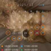 ヒメ日記 2025/12/11 23:31 投稿 そら Blue Lagoon(ブルーラグーン)