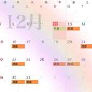 ヒメ日記 2024/12/12 15:45 投稿 Mari Miyamoto ELEGANT－エレガント－