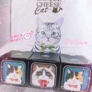 ヒメ日記 2025/03/23 17:32 投稿 真琴(まこと) 高崎回春性感SPA