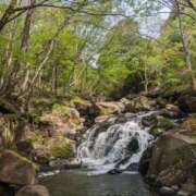 ヒメ日記 2025/06/05 12:58 投稿 まゆ 栃木県デリバリーヘルス　人妻大田原・那須塩原デリヘルクラブ
